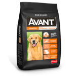 Avant Adulto Raza Grande