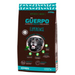Güerpo Senior Experience
