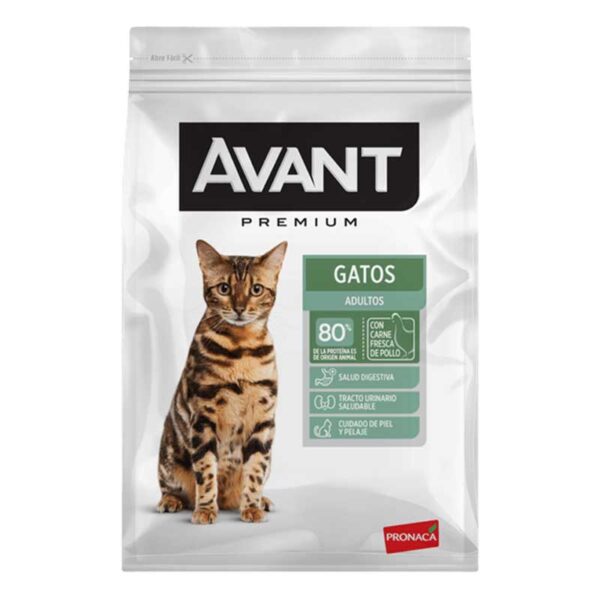 Avant-Premium-Gatos-Selva-Alegre-Sangolquí-Valle-de-los-chillos-Quito-alimento-premium-para-gatos-en-el-valle-de-los-chillos