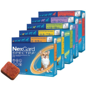 Antipulgas-y-garrapatas-masticable-para-perro-NexGard-Spectra5