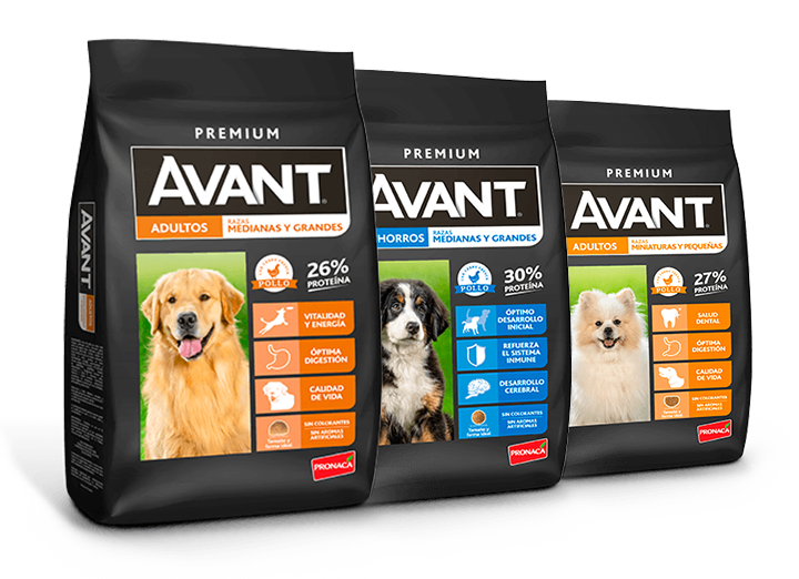 Avant-alimento-premium-para-perros-adultos-comida-para-perro-sangolqui-alimento-para-perro-sangolqui-valle-de-los-chillos-comida-para-perro-valle-de-los-chillos