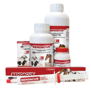 Desparasitante para vacas cerdos y caballos con febendazol