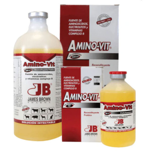 Aminovit complejo B