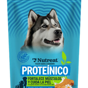Nutreat Proteínico-galleta-natural-para-fortalecer-a-tu-perro-perro-sano-como-cuidar-a-mi-perro-tienda-premium-petshop-premium-servicio-a-domicilio-tu-alimento-a-domicilio