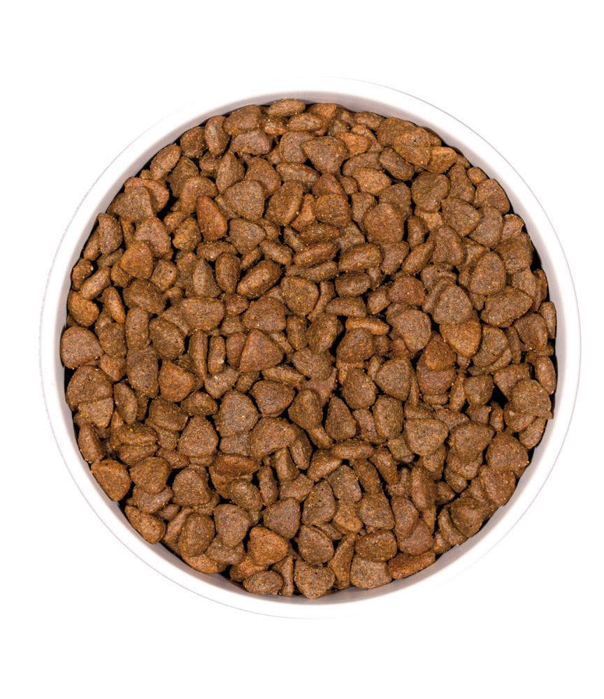 Ownat Kitten Gatitos Grain Free Pavo y Pollo Ownat-alimento-super-premium-para-gatos-libre-de-granos-de-pavo-y-pollo-alimento-premium-valle-de-los-chillos-ownat-valle-de-los-chillos-quito-sangolqui-cumbaya-tumbaco3