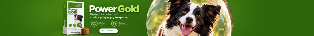 Power-Gold-antipulgas-la-chaka-pet-shop-valle-de-los-chillos-tienda-de-mascotas-antipulgas-mi-perro-tiene-pulgas